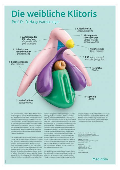 klit massieren|Klitoris: Ort, Funktion und Stimulation des Kitzlers